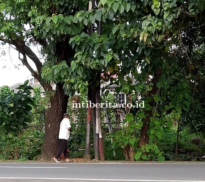Petugas Kebersihan di Jl Beringin Dinilai Tidak Disiplin, Hasil Penyapuan Dibuang ke Got